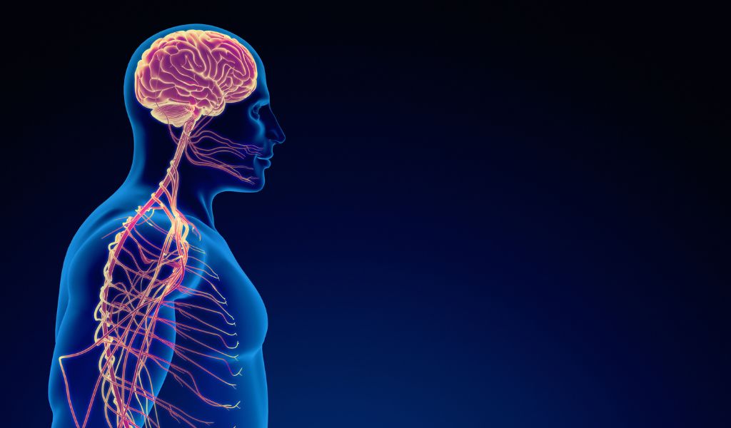 Neurodevelopmental disorders | lakeside spine and wellness |